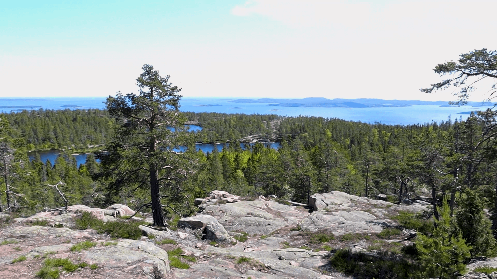 The National Parks of Sweden - Our Camper Stories